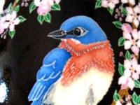 bluebird icon.jpg
